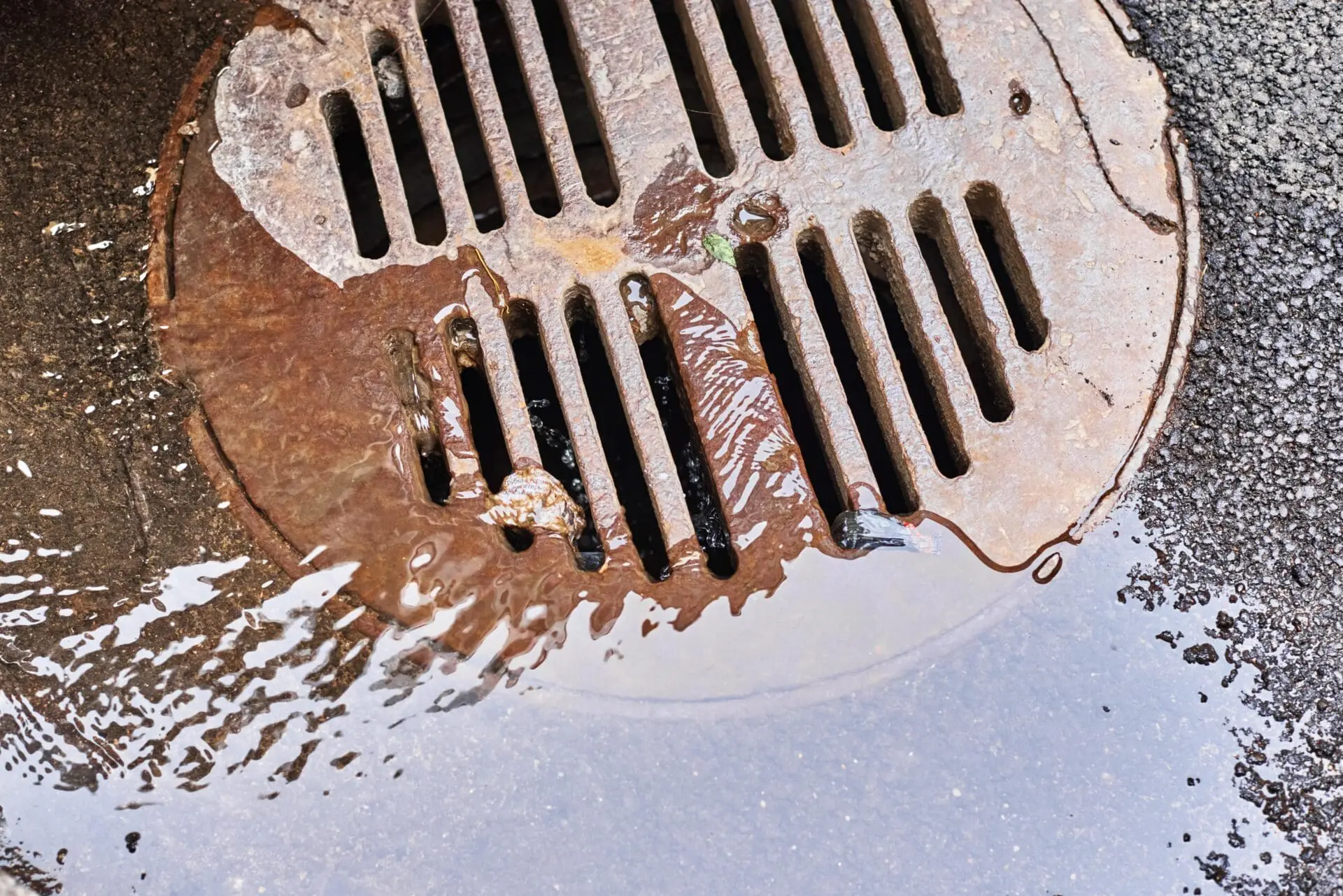 Read more about the article What Causes Sewer Smell